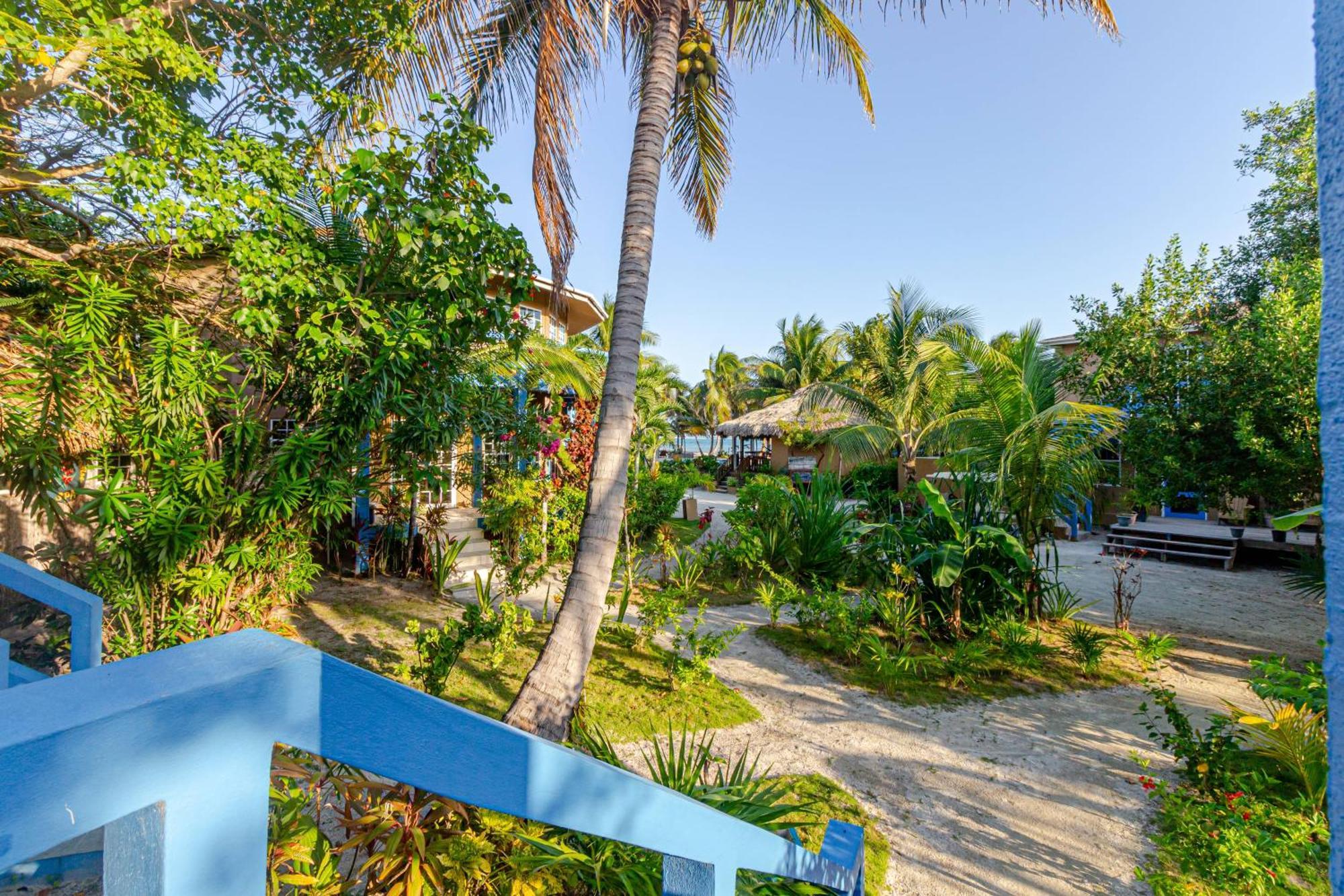 White Sands Cove San Pedro  Rum bild